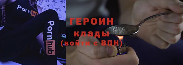 прущие грибы Гатчина
