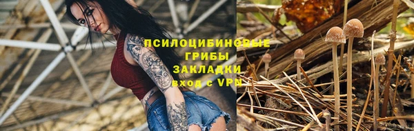 ГАЛЛЮЦИНОГЕННЫЕ ГРИБЫ Козельск