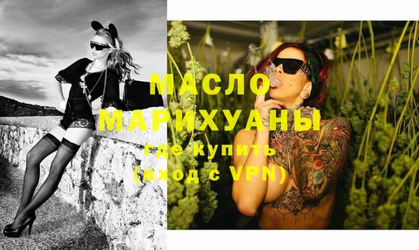молекула духа Галич